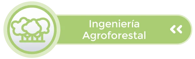 Logo Agroforestal